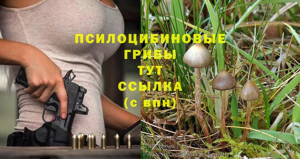 амф Алексеевка