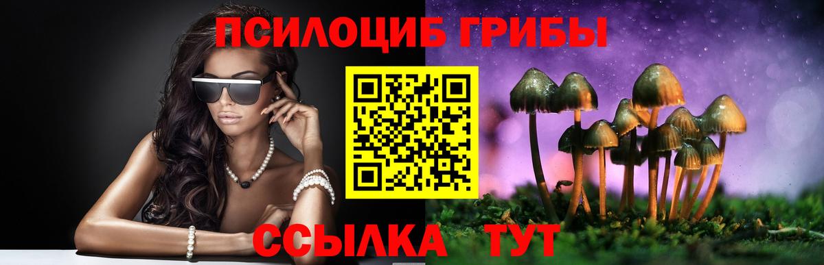 Галлюциногенные грибы Psilocybe  Вход с VPN  Аргун 