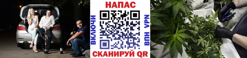 МАРИХУАНА Amnesia  Аргун 